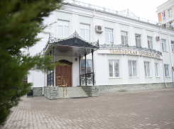 Медики, молочник и певица: стартуют довыборы в городскую Думу Тамбова