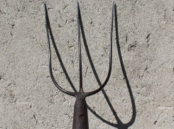 Житель посёлка Мордово захотел поднять на вилы свою жену