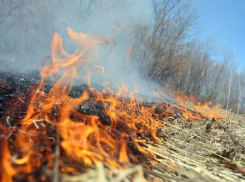 С завтрашнего дня в регионе начнёт действовать особый противопожарный режим