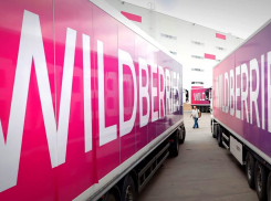 В Тамбовской области стартует строительство логистического центра Wildberries за 8 миллиардов рублей