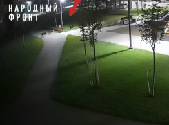 Бастрыкин поручил возбудить уголовное дело по факту нападения собак на ребёнка в Тамбове