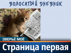 «Волосатый дневник». Страница первая.