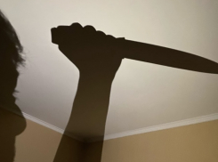 В Бондарях брат убил брата, нанеся 40 ударов ножом