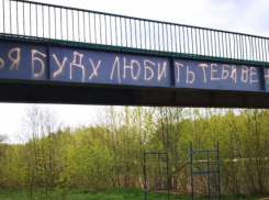 В Мичуринске признанием в любви испорчен свежеокрашенный мост