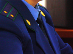 В Инжавинском районе возбуждено уголовное дело по фактам нарушения прав многодетных семей