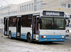 На Красную горку по Тамбову поедут дополнительные автобусы 
