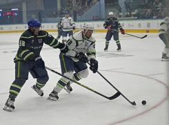 На благотворительном хоккейном матче в Тамбове собрали миллион рублей