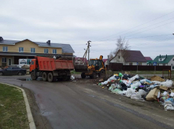 «Во имя чистоты» - 15 апреля 2019 