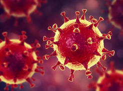 В Тамбовской области за сутки коронавирусом заболели 11 детей