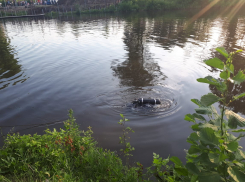 В пригороде Мичуринска утонул ребёнок