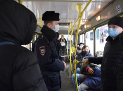 В Тамбове составили 5 административных протоколов на пассажиров автобусов