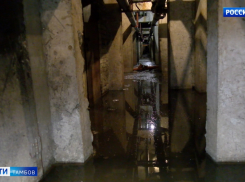На юге Тамбова подвал одной из многоэтажек регулярно затапливает
