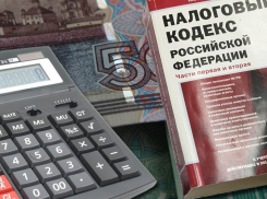 Более 2 миллиардов долгов взыскала налоговая с тамбовчан
