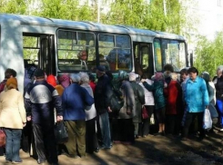 Пора на дачу! Дачные маршруты в Тамбове открыли летний сезон 