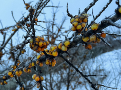 Конец рабочей недели в Тамбове будет пасмурным, дождливым и тёплым