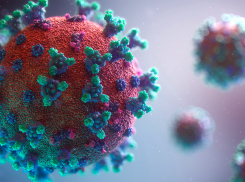 В регионе продолжает расти суточное количество случаев заражения коронавирусом