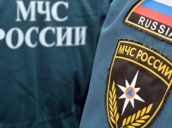 Тамбовские спасатели помогают людям и животным