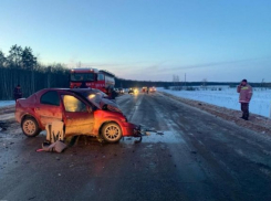 Два человека погибли и шесть человек пострадали в ДТП в Знаменском округе