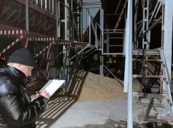 По факту гибели мужчин в кукурузе возбуждено уголовное дело