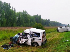 Пять человек погибли в результате столкновения двух микроавтобусов в Тамбовской области