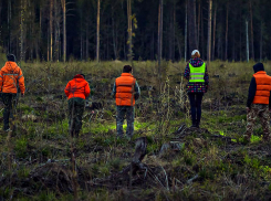 Полиция разыскивает жителя Кирсановского района
