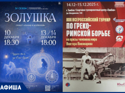 Новогодние концерты, спортивные баталии и массовые катания: афиша на выходные 