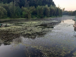В Тамбове канализационные стоки вновь попали в реку Жигалка