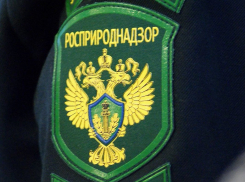 Росприроднадзор требует с администрации Кирсанова 8 миллионов рублей за ущерб экологии