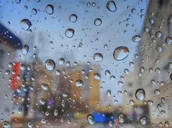 Рабочая неделя в Тамбове ожидается пасмурной и дождливой