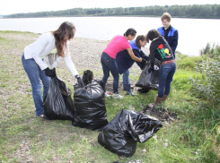 В Тамбовской области очистили от мусора 16 километров береговых полос