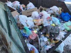 «Кто виноват?» Мусором завален десяток контейнерных площадок Тамбова