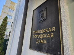 Место Любови Шаниной в Тамбовской гордуме займёт Дмитрий Борисов