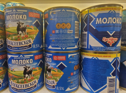 «Коровка из Кореновки» судится за репутацию в Тамбовской области — и сама подтверждает управление с Кипра