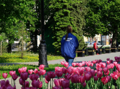 В Тамбовской области победителями голосования за объекты благоустройства стали 6 территорий