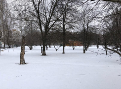 В Тамбове обсудили появление новой зоны отдыха