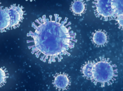 В Тамбовской области за сутки коронавирусом заболели 62 человека