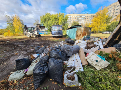Тамбовчанам напоминают о правилах утилизации мусора после субботников