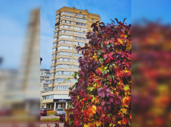 Начало рабочей недели в Тамбове будет тёплым и дождливым