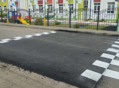 В Тамбове обновили разметку на 98 пешеходных переходах возле учебных заведений