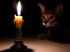 Почти полторы сотни домов в Тамбове завтра останутся без света