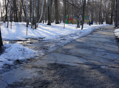 В Тамбове подготовили проекты благоустройства 8 городских территорий