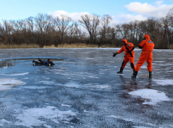 Тамбовские спасатели:  «Лед на реках подтаивает снизу, это не видно невооруженным взглядом и очень опасно» 