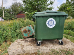 “Тамбовская сетевая компания” установила новые мусорные контейнеры в посёлке Новая Ляда