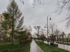 Первая рабочая неделя апреля будет тёплой, пасмурной и дождливой