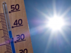 В ближайшие дни тамбовчан ждет жара +35 градусов и выше