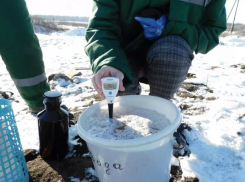 Знаменский сахарный завод подозревают в причинении ущерба природе на 7 миллионов рублей