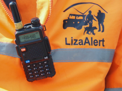 Ежегодную встречу с новичками проведут поисковики тамбовского отряда «ЛизаАлерт» 