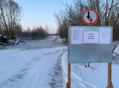 В Тамбовской области внезапно начался паводок