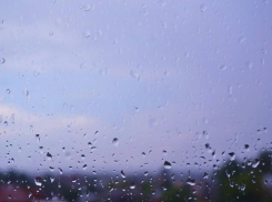 Рабочая неделя в регионе закончится дождями 