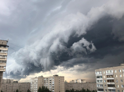 В выходные в Тамбове ожидаются ливни и грозы